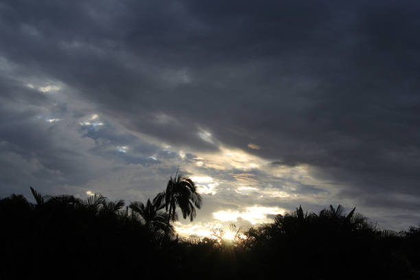 Dramatic sky at sunset with dark storm clouds and palm tree silhouettes