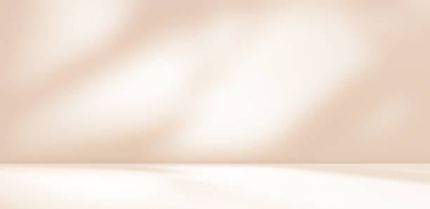istock Empty cream brown beige room studio with shadow of leaves for product presentation. 2178463378