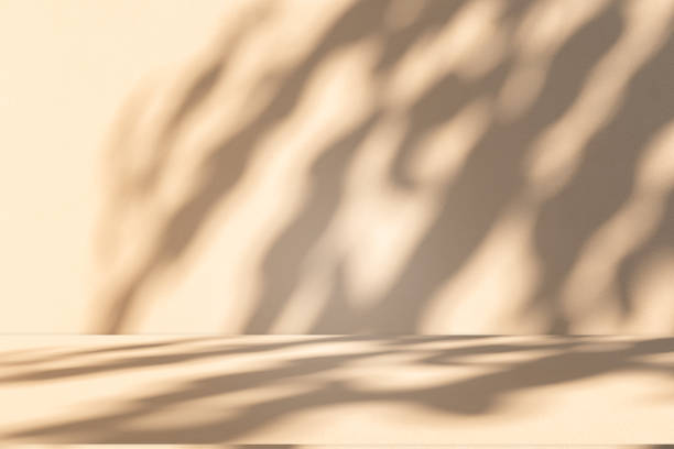 istock Studio style background wall decoration presentation uses white and beige tones. with shadows cast from a nearby window, concept creating a decorative 2178466121