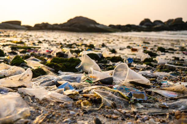 istock Trash, plastic cups and plastic bags at the beach. environmental problem concept and healing the world 2178466166