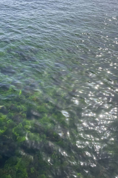 istock A serene body of water with sunlight reflecting off its surface. 2178468371