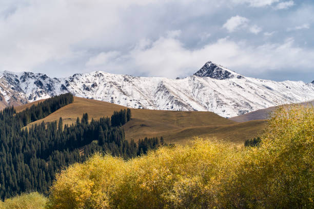 beautiful landscape of flowing river, autumn bushes and snowmountain in Xinjiang, China