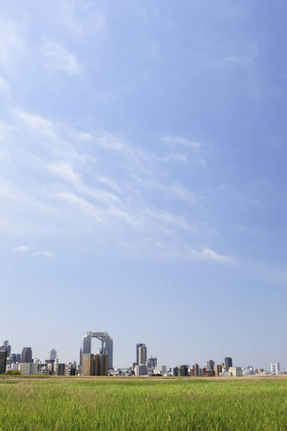 istock Osaka seen from the Yodo River riverbed 2178468737