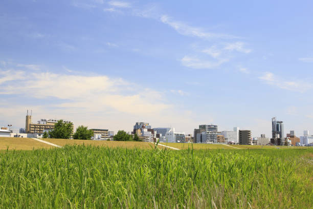 istock Grassland and townscape 2178468858
