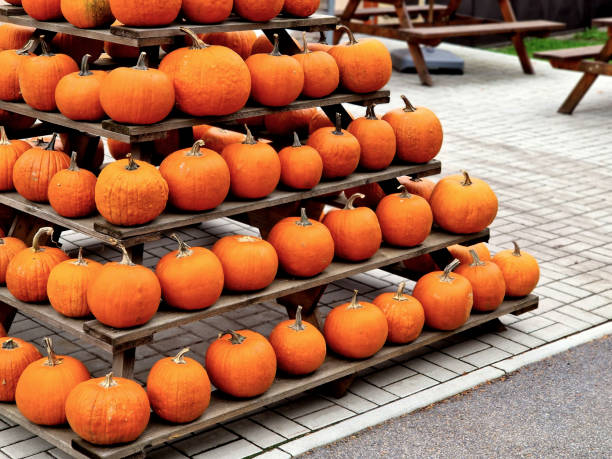 a pyramid shape shelf with embedded orange pumpkins as an eye-catcher for visitors to the town. order and cleanliness in the yard to sell vegetables