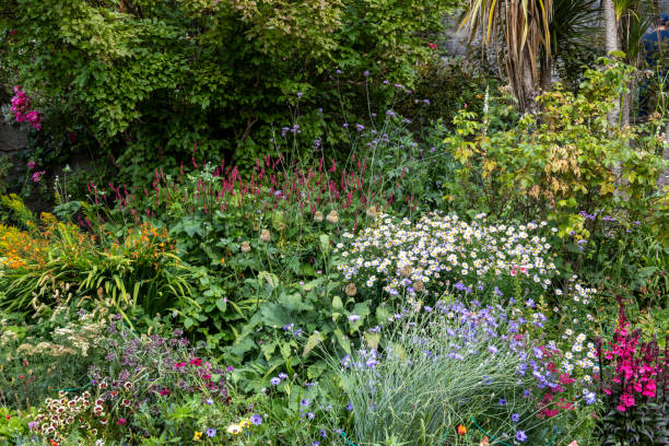 European garden texture background
