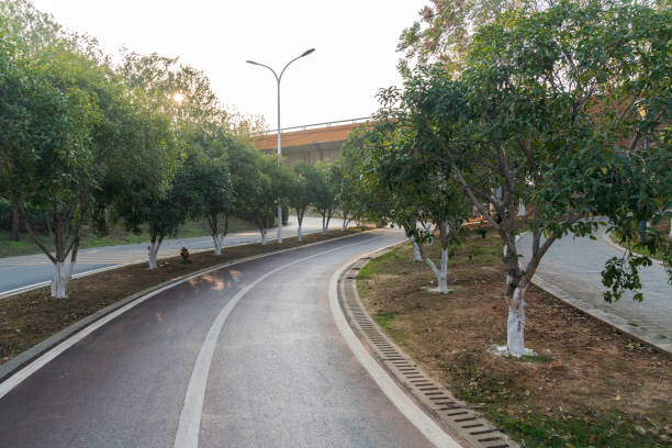 Concrete structure and asphalt road space under the overpass in the city
