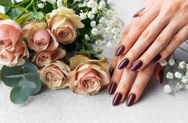 istock Elegant hands with dark manicure resting beside blush roses and white blooms on a light surface 2178472426