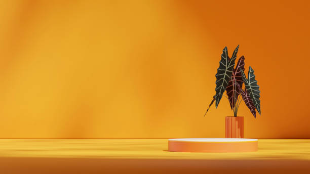 istock orange color curved cylinder podium in landscape pot in backdrop, 3d image render blank mockup 2178472704