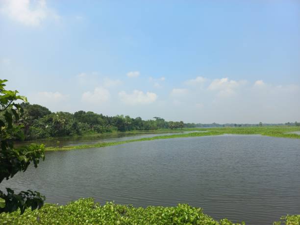istock Beel or large water land region 2178477666