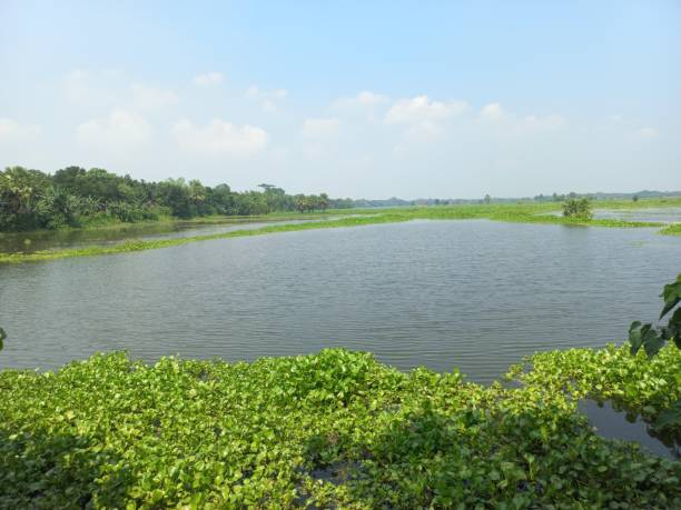 istock Beel or large water land region 2178477790