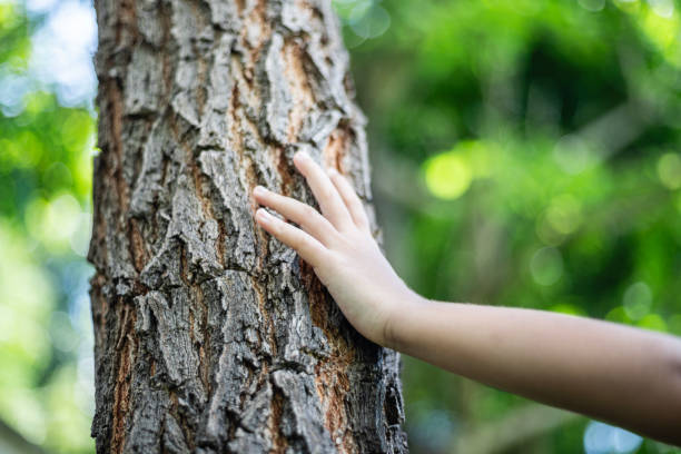istock A child's hand gently rests on the trunk 2178478433