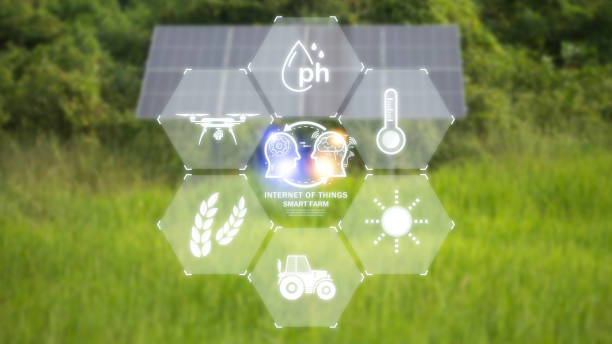 istock Innovation in agricultural technology marks a new era of modern smart farming, utilizing solar energy for breeding and other processes. 2178478443