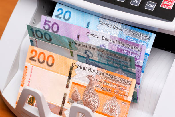istock Gambian dalasi in the counting machine 2178481867