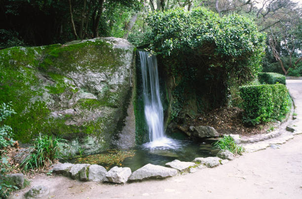 Natural waterfall in the park recreation area. Spring season.