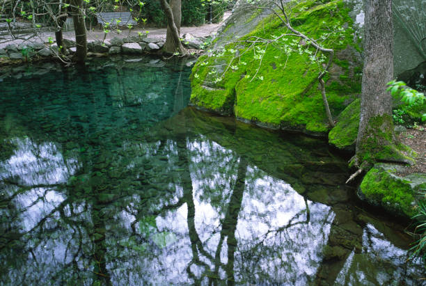 istock Decorative pond with clean water in the recreation park. 2178486114