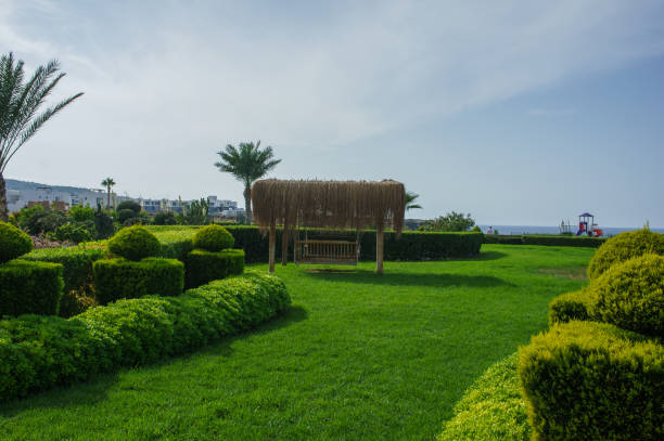 In a serene coastal garden, a thatched gazebo stands amidst vibrant green hedges, inviting visitors to relax and enjoy the stunning ocean backdrop under a clear sky.