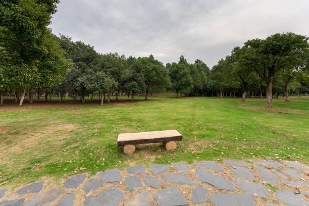 Wooden bench in the city park