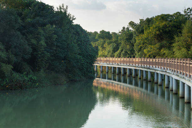 perspective view of young woman walking on bridge at a spring afternoon,china.