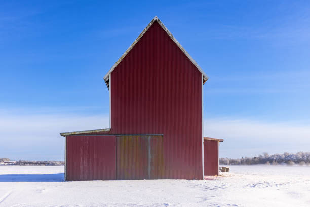 A country barn covered with snow during snowfall, surrounded by snow covered trees.