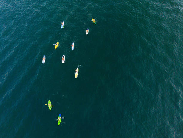 istock A group of young people are floating on the sea on SUP boards using oars 2178498343