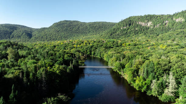 istock Aerial View of a Suspension Bridge During Summer 2178503130