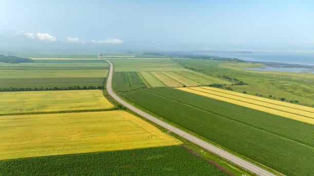 Aerial View of Highway 132 along St. Lawrence River, Quebec, Canada