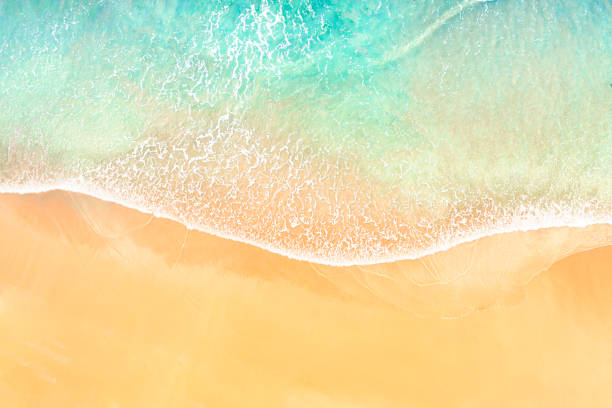 Long Reef beach waves on shore aerial topdown view