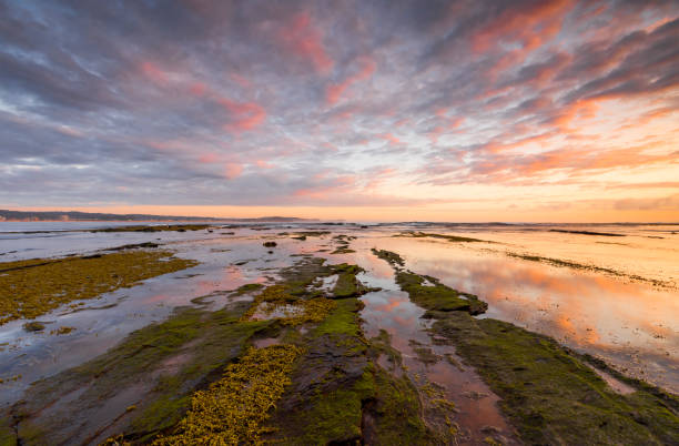 istock Pastel sunrise over tidal rocks at Long Reef 2178504353