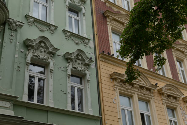 istock A green and yellow building stands charmingly with a tree in front 2178505943