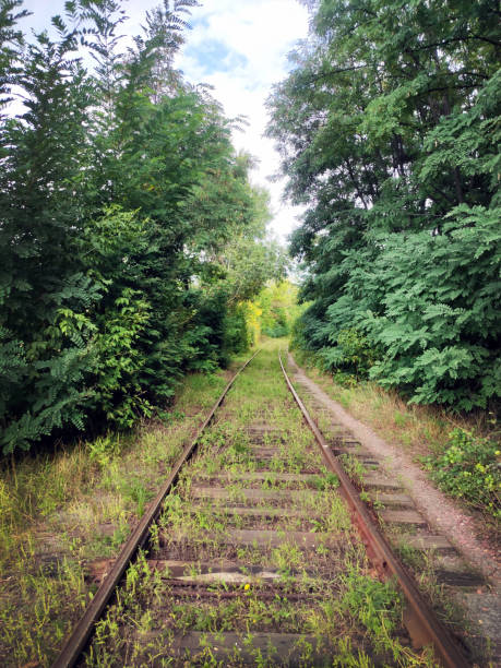 istock abandoned, rusty, railway, in the forest, going into the distance, to a dead end, road, overgrown, lonely road, railway, rails, sleepers 2178506010