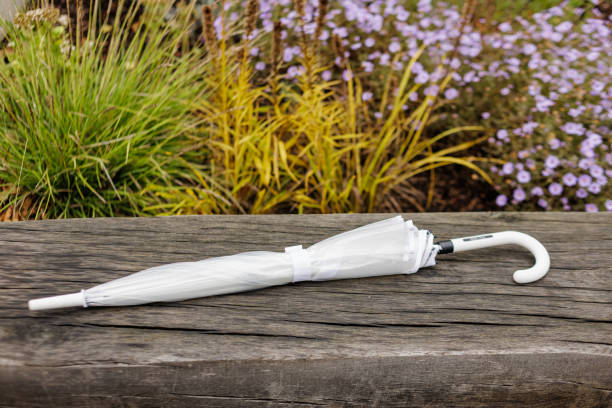 White umbrella is lying on a wooden bench with a garden in the background. Karlin, Prague
