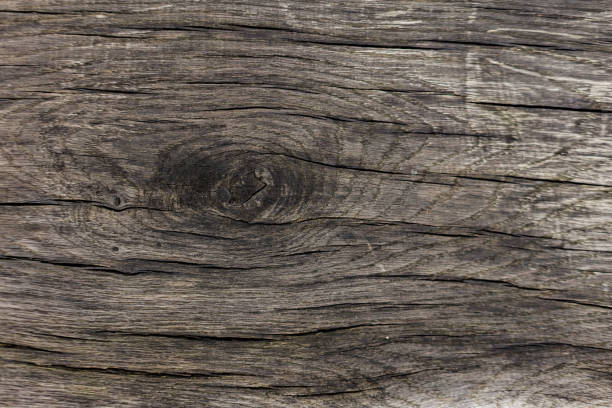 Weathered wood is showing its age with cracks and knots forming a beautiful karlin. Karlin, Prague