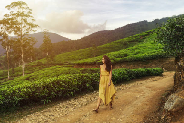 istock Woman Exploring Scenic Tea Fields in Nuwara Eliya, Sri Lanka 2178507315