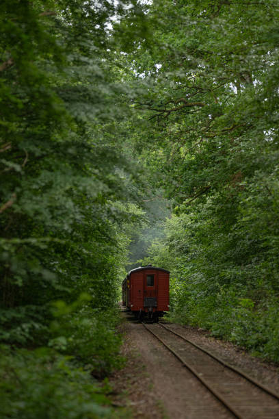 istock Vintage museum steam train rolling through green forest.. 2178507515