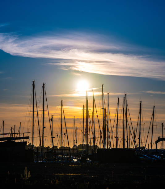 Sailboat masts in a marina at sunset.