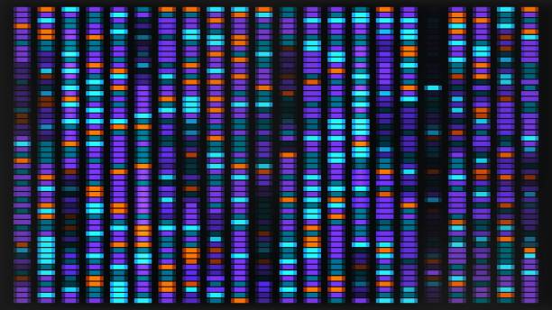 Dna sequence map. Genetic visualization pattern for medical analysis background. Abstract science bg with x and y chromosome architecture. Music sound mapping with vibrations spectrum analyzer. Dna sequence map. Genetic visualization pattern for medical analysis background. Abstract science bg with x and y chromosome architecture. Music sound mapping with vibrations spectrum analyzer dna test stock illustrations
