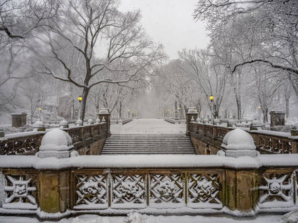 istock Central Park the Mall during snow storm 2178507970