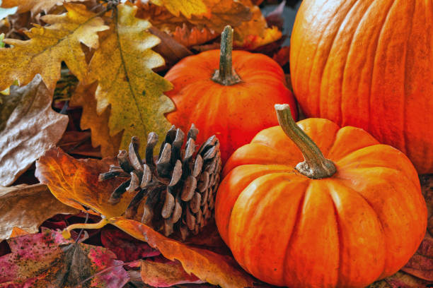 istock Autumn still life, with pumpkins 2178508102