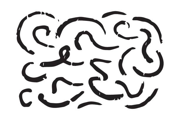 istock Chalk abstract lines and strokes. Crayon hand drawn pencil curve lines. Charcoal uneven scribbles, black strokes vector set 2178519660