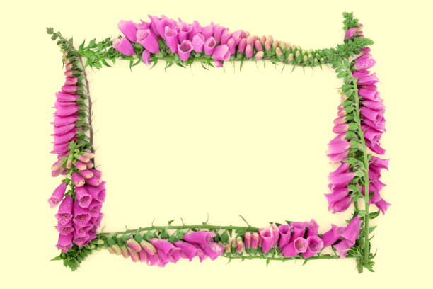 Beautiful wreath of olive and hops flower and Cork ribbon