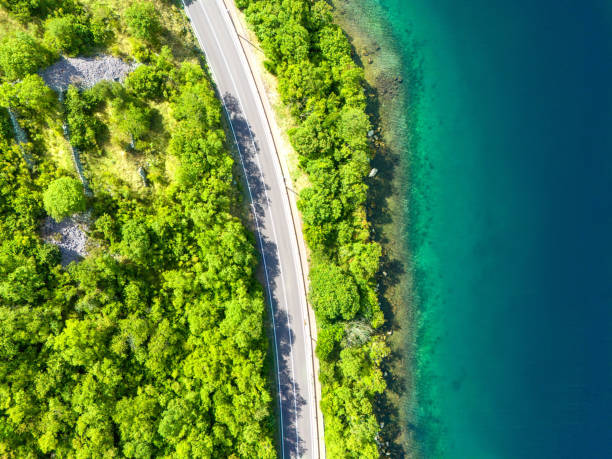 istock A road along the sea coast passing through a forest 2178520316