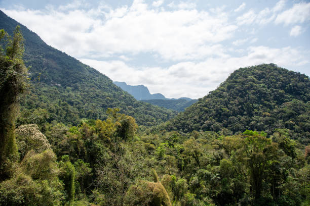 istock Mountain range with natural forest cover. Place untouched by humans 2178524551