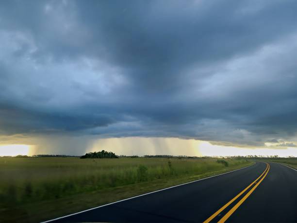 istock Downpour Rain in the Florida Everglades 2178537197