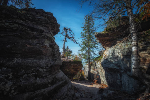 A winding path cuts through towering rock formations, surrounded by vibrant trees, showcasing nature's artistry on a crisp autumn day with a bright blue sky above.