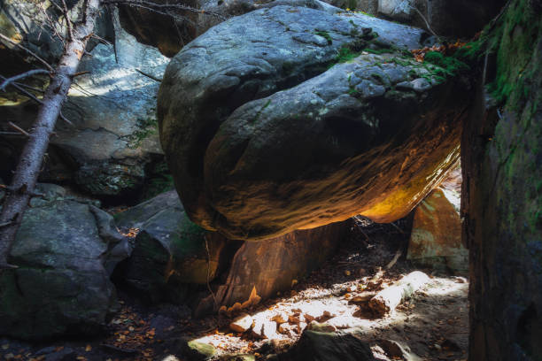 Afternoon sun illuminates a gigantic boulder precariously balanced between two stone formations in a quiet forest. Surrounding greenery adds depth to the tranquil setting.