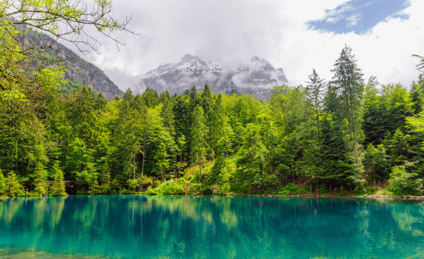 istock Tranquil Mountain Lake with Lush Evergreen Forest and Misty Peaks 2178542302