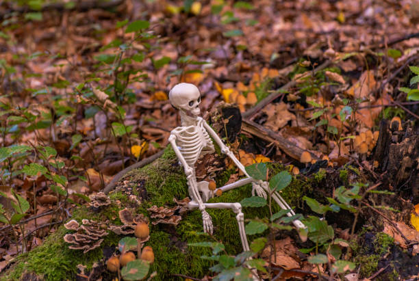 istock Halloween character in autumn forest 2178544305