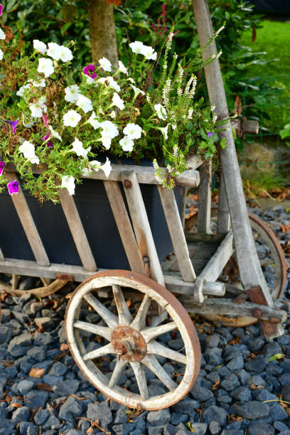 istock old Bollerwagen with flower decoration in autumn 2178545260