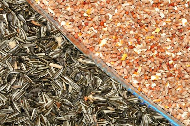 Sunflower seed shells
